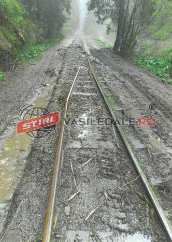 Mocănița de pe Valea Vaserului