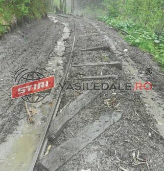 FOTO Linia pe care circulă Mocănița de pe Valea Vaserului, distrusă de braconierii forestieri