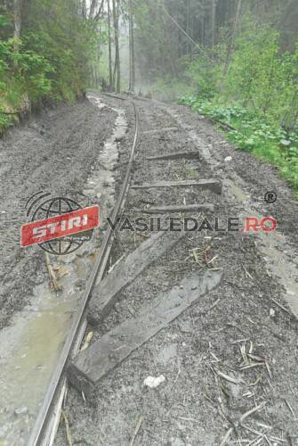 FOTO Linia pe care circulă Mocănița de pe Valea Vaserului, distrusă de braconierii forestieri FOTO Linia pe care circulă Mocănița de pe Valea Vaserului, distrusă de braconierii forestieri