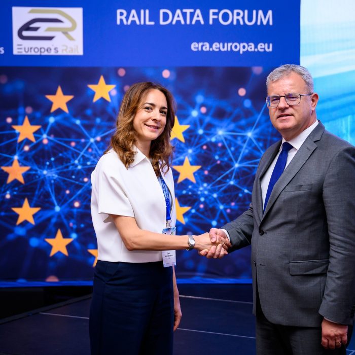 Patronatul Operatorilor Privați susține înghețarea STI, măsură propusă de Oana Gherghinescu, noua șefă a ERA